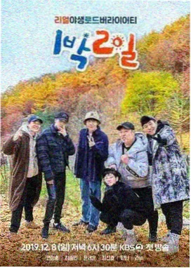桔子在线观看免费高清电视剧 向往的生活